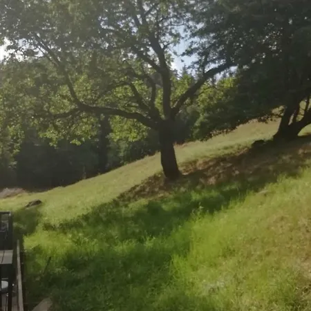 Olivin Hiker Huts * Kytlice
